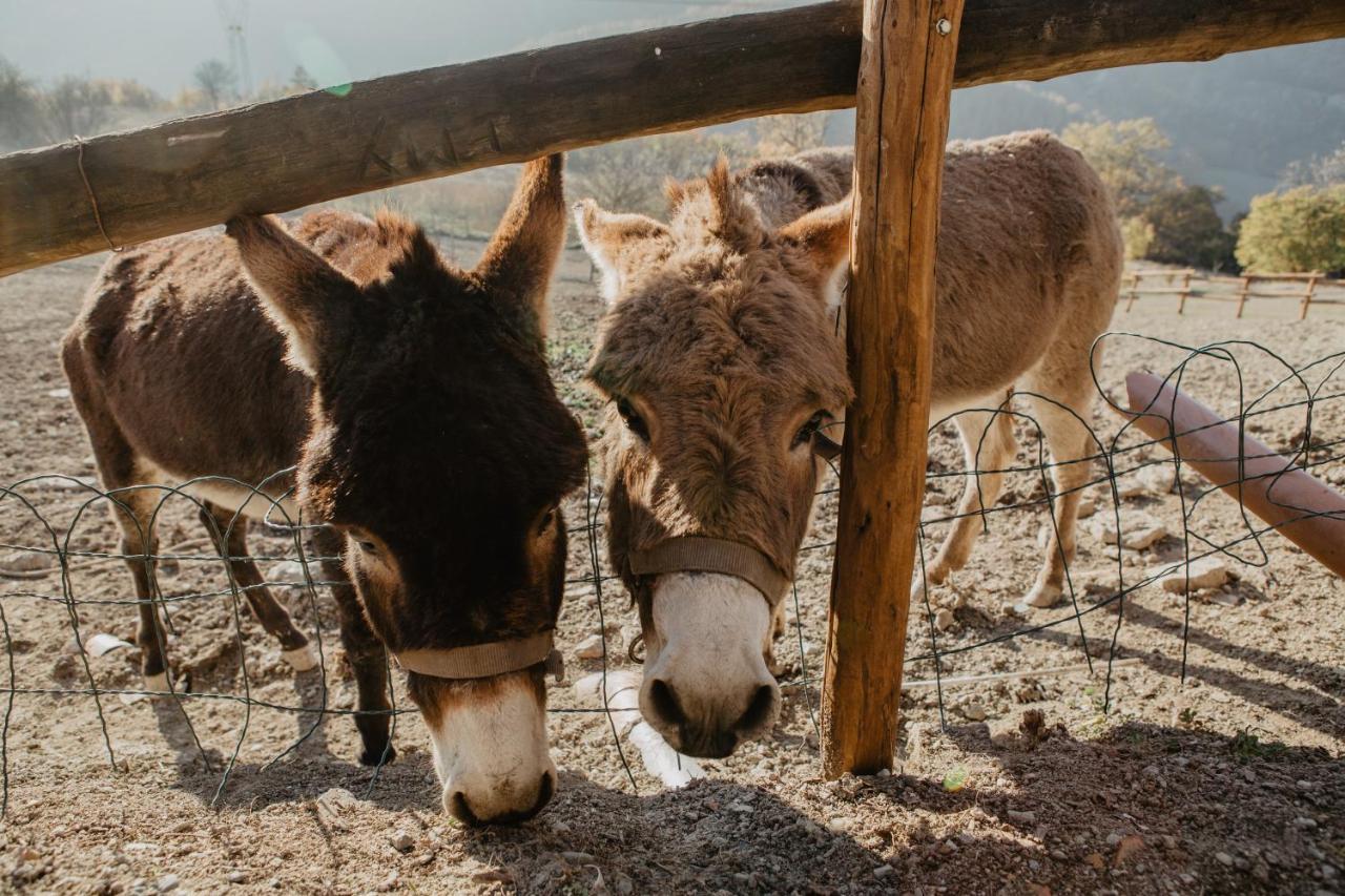 Agriturismo Le Piagge Ponzone エクステリア 写真